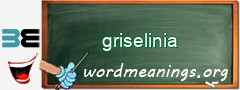 WordMeaning blackboard for griselinia